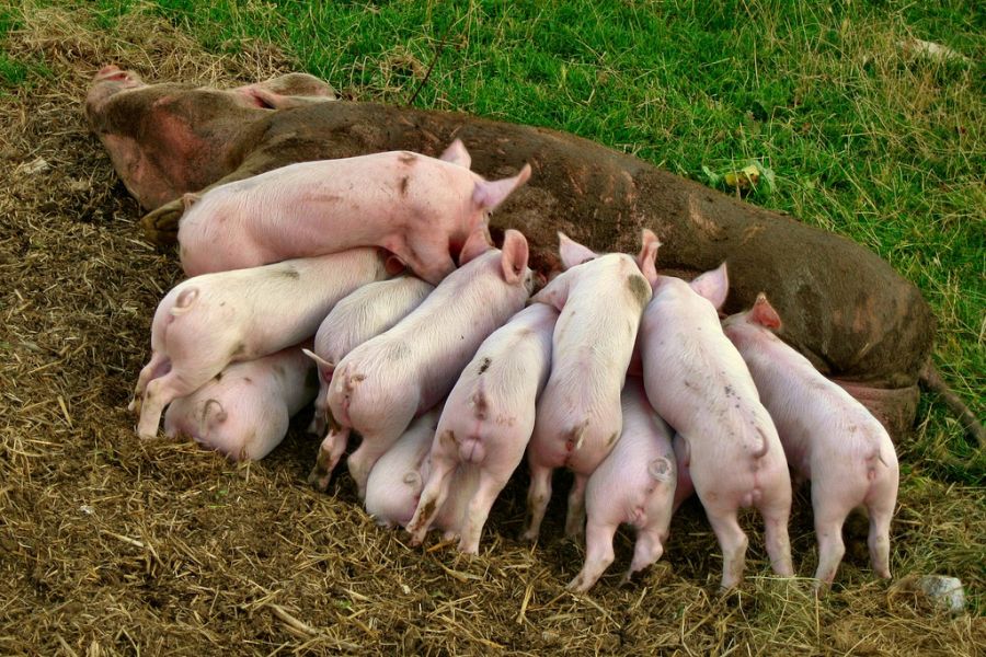 [2+2-16-09+dinnertime.jpg]