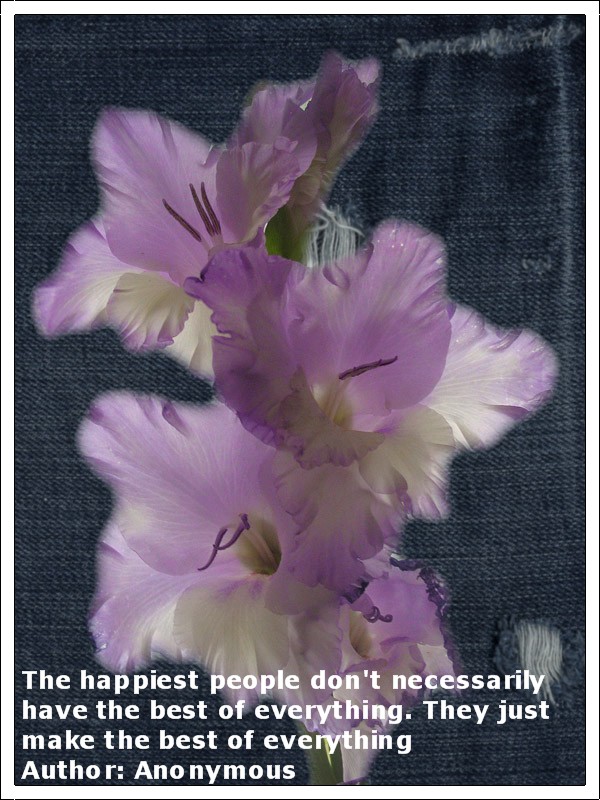 [3+3-5-09+flower.jpg]