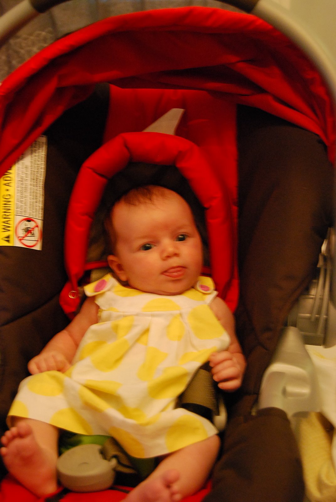 [DSC_0097.JPG]