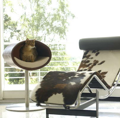 cat furniture modern