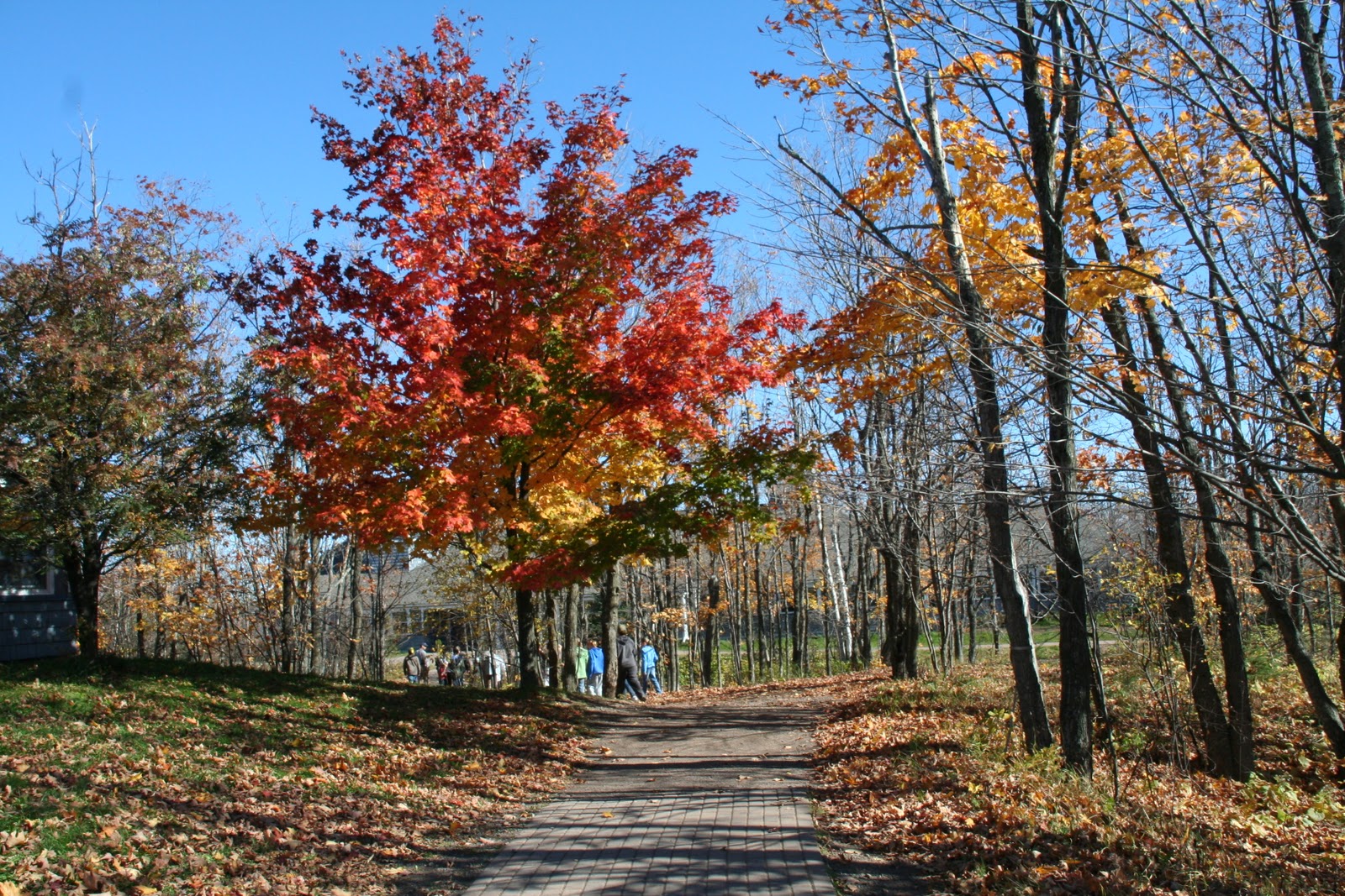 St. John's Wolf Ridge Trip 2010 Introduction to Wolf Ridge