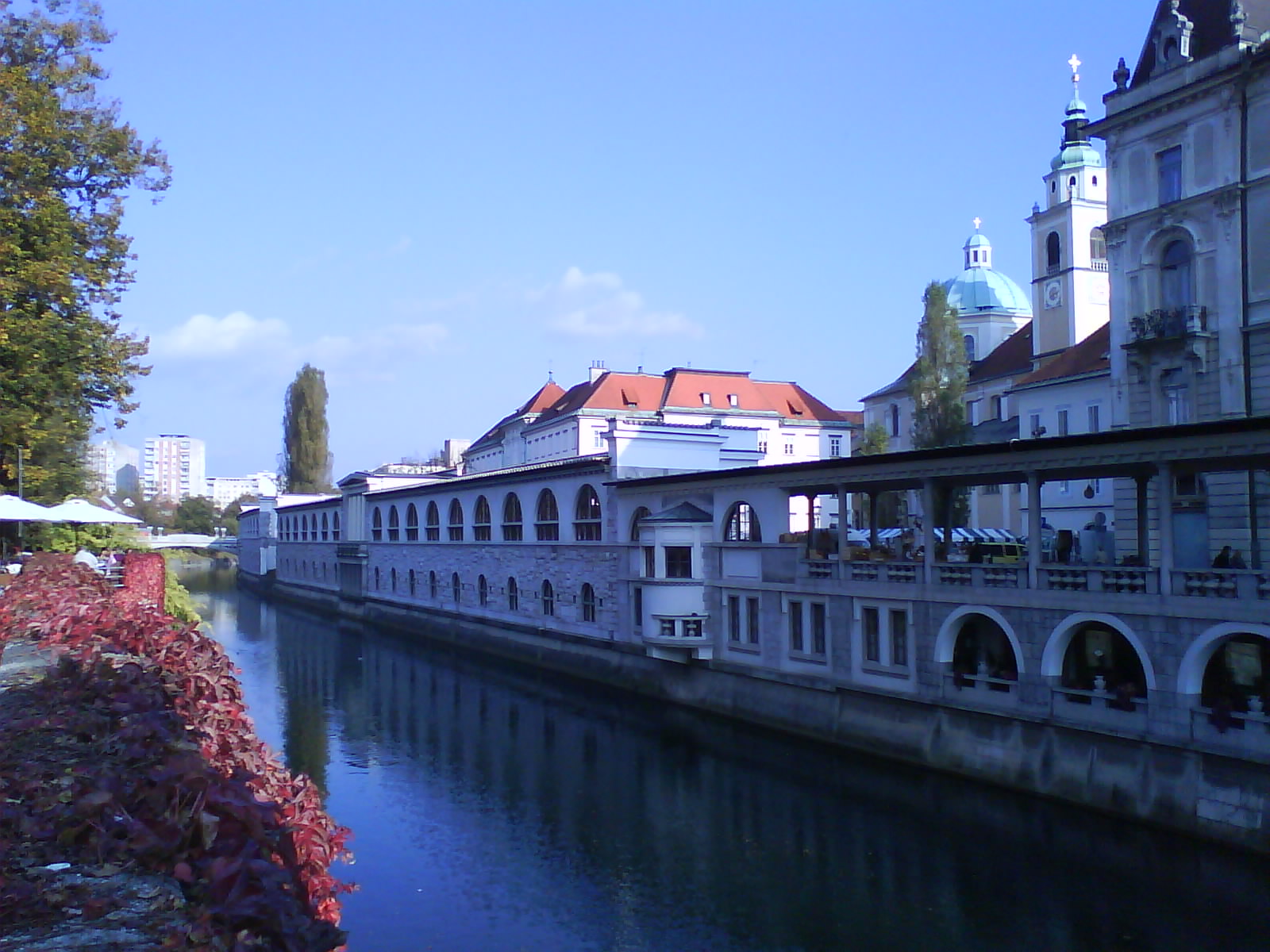 [DSC02332.JPG]