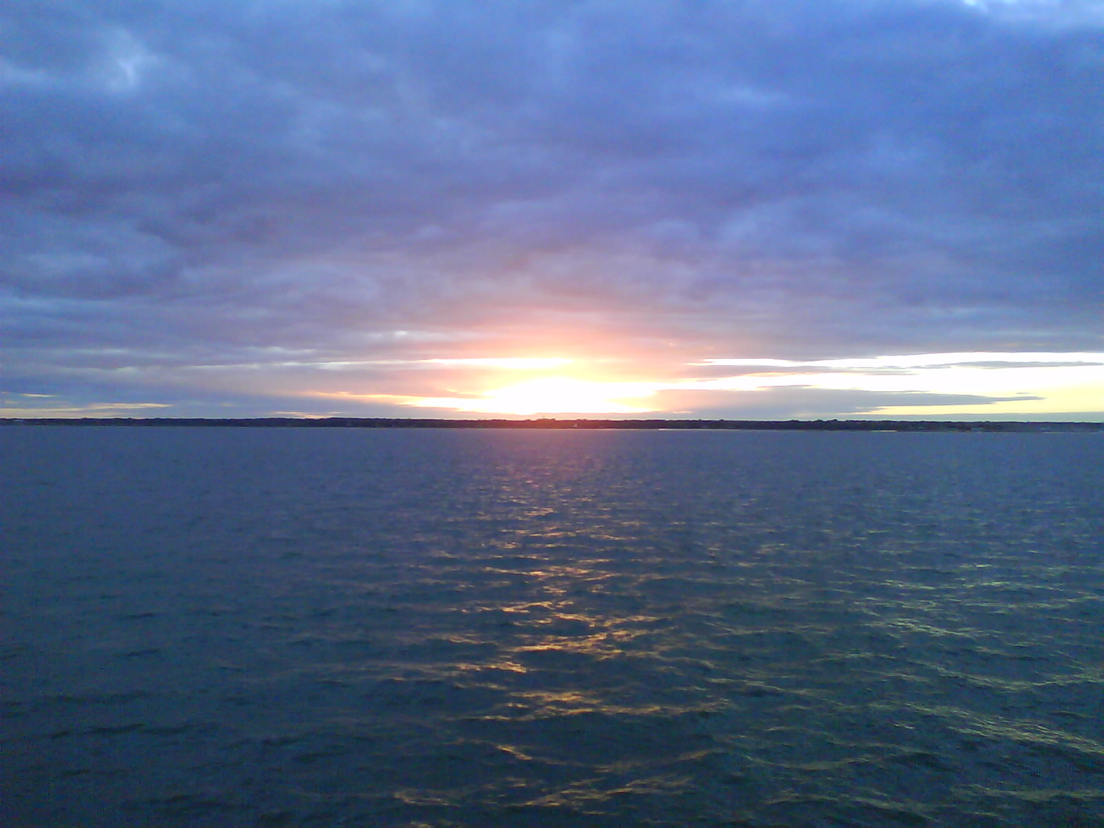 [DSC01081.JPG]