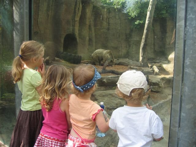 [Em,+Sammi,+Drew,+Ben+at+zoo.bmp]