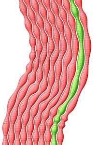 [RhinoScript_med.jpg]