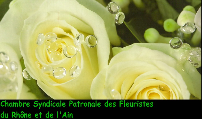 Ch. Syndicale des Fleuristes Rhône Ain Floralies