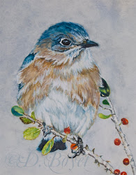 watercolor bird paintings painting bluebird close wild really artists animal birds beginners easy sassy below wildside animals completed boyet deborah