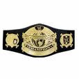 undisputed champion