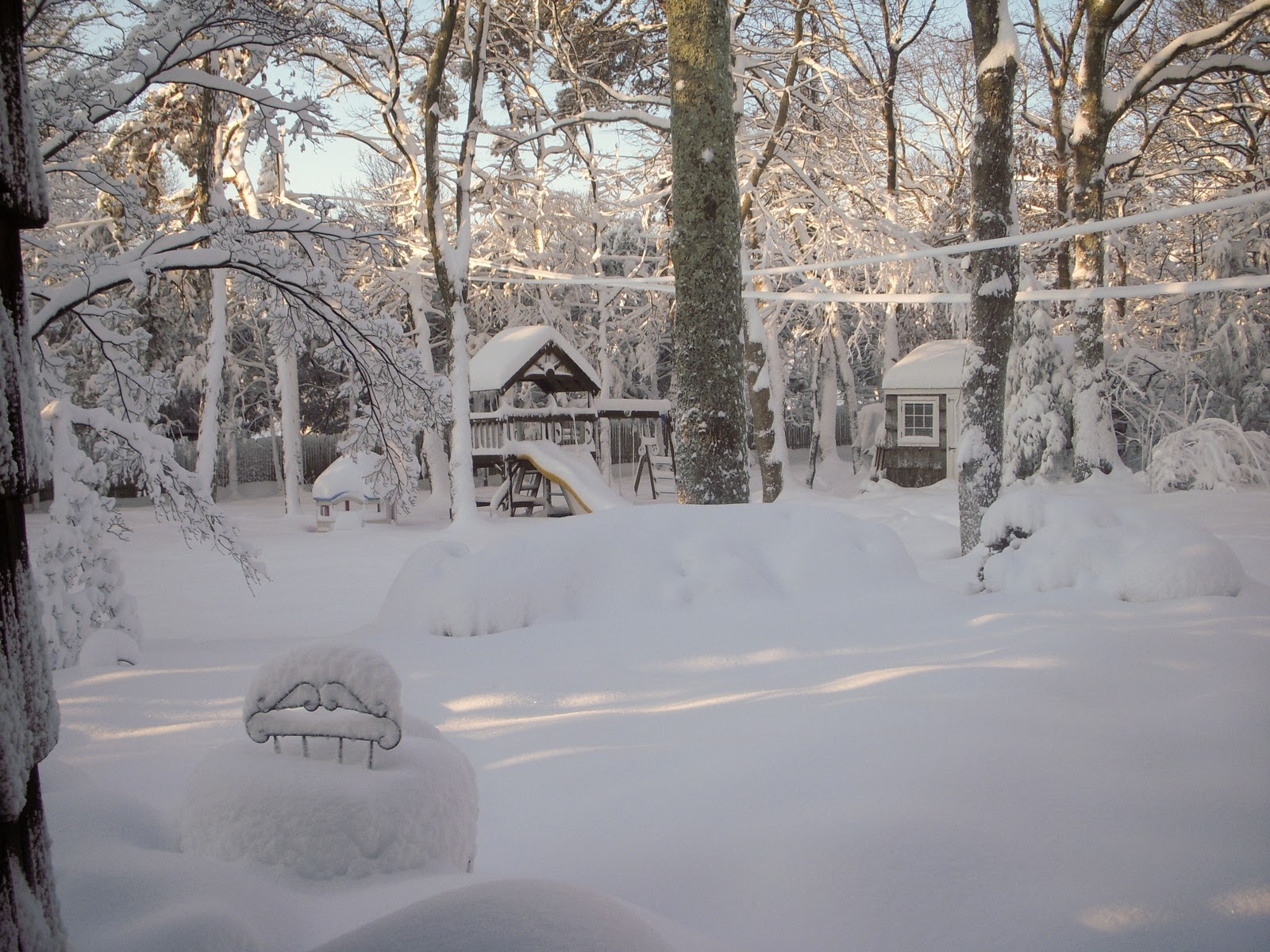 Hydrangea Home by Dawn's Designs: Pretty Snow - lots of it! and Greek ...
