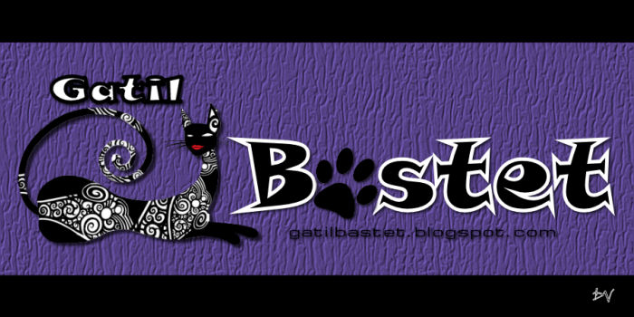 Gatil Bastet: Onde os Gatos de rua são tratados como deuses