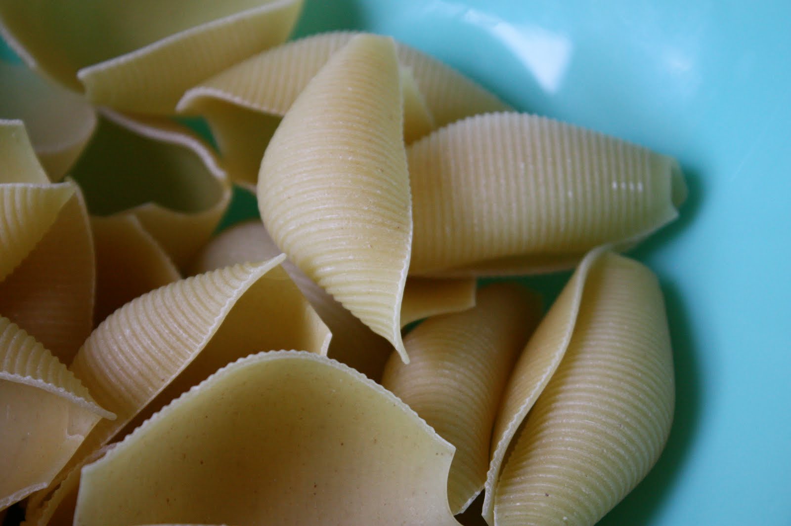 The Dish: Spinach and Ricotta-Stuffed Shells - umommy