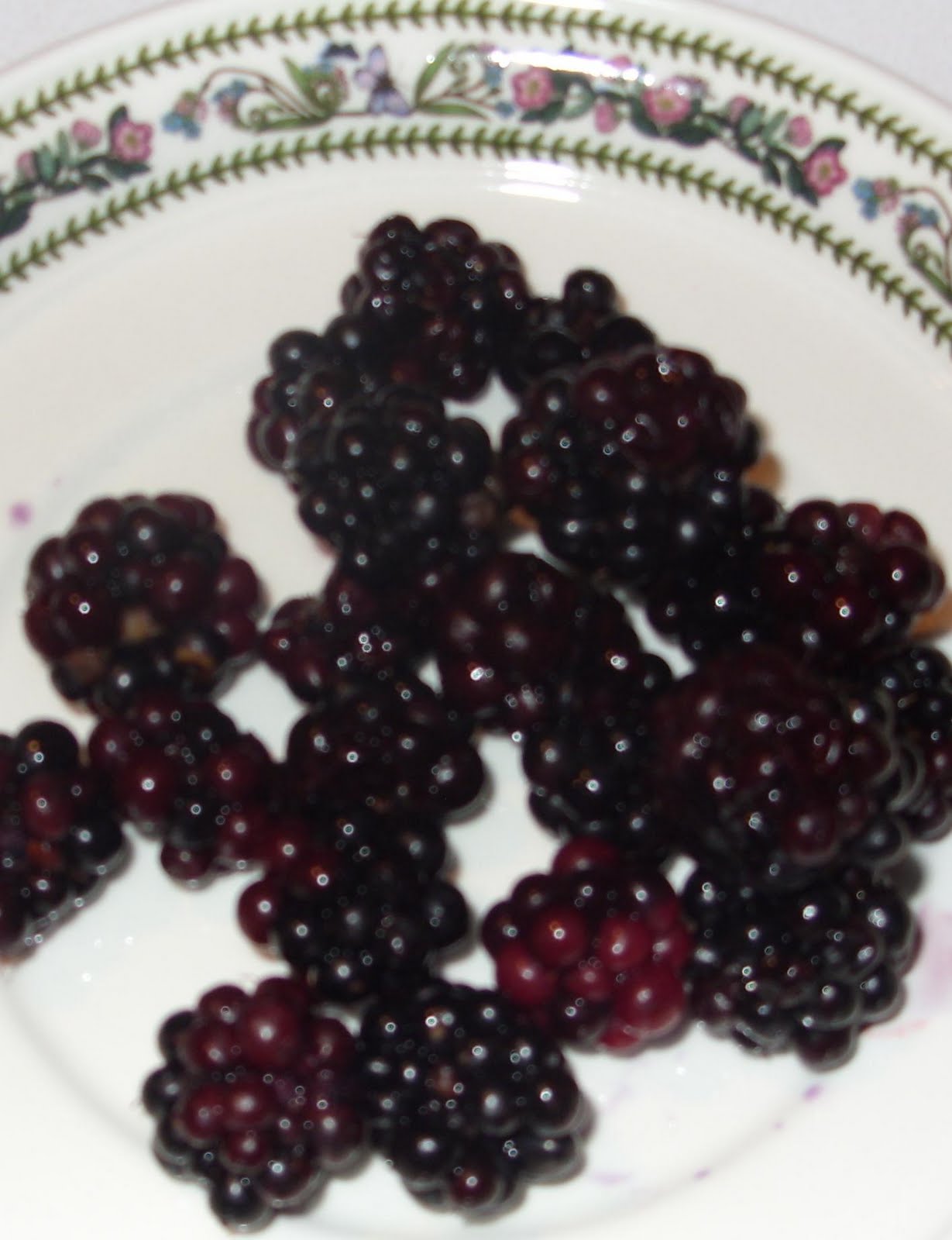 Kelli's Northern Ireland Garden Blackberries (thornless)