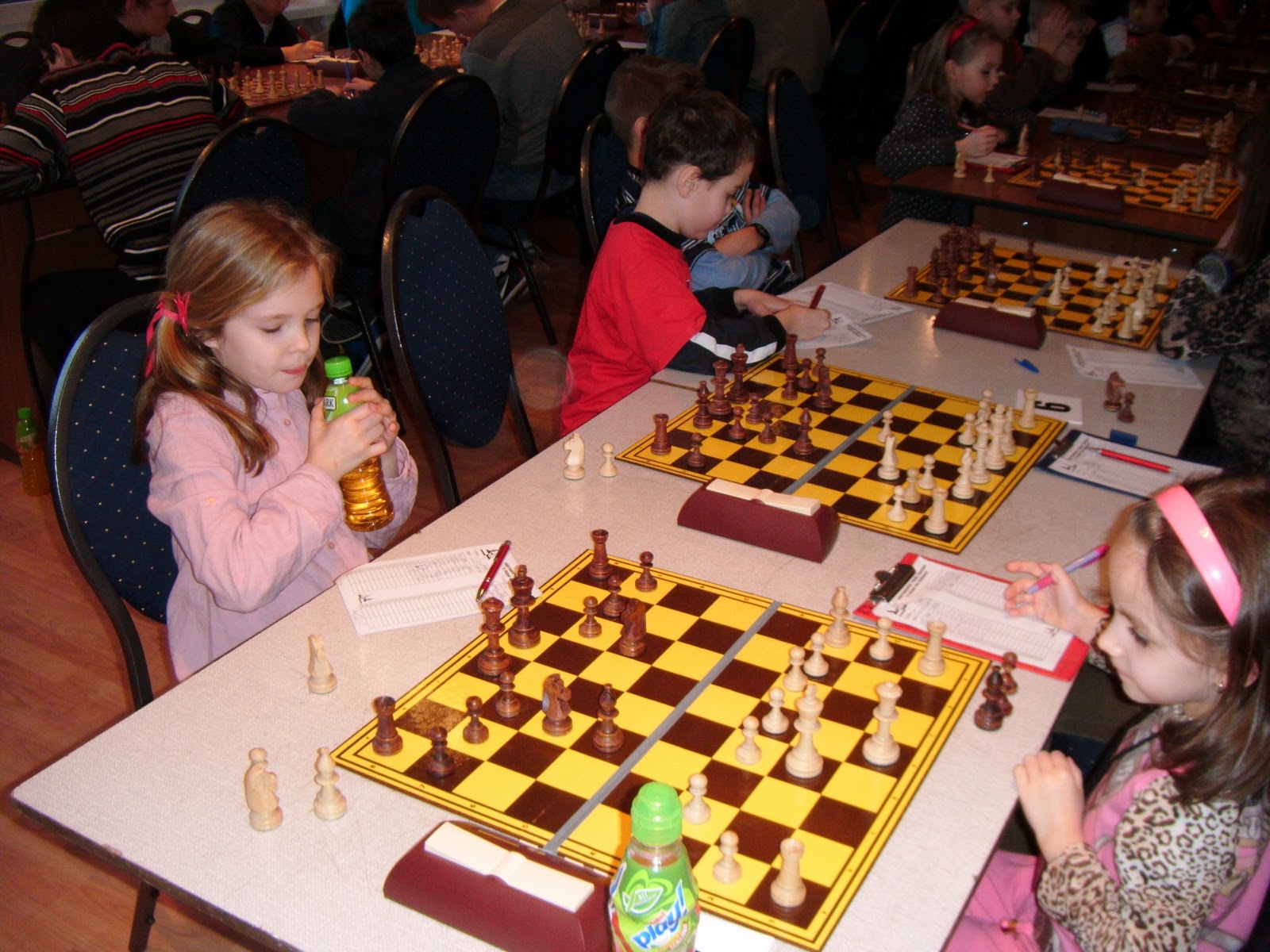 Chess Daily News by Susan Polgar - Cheparinov takes Albena Chess Open on  tiebreaks