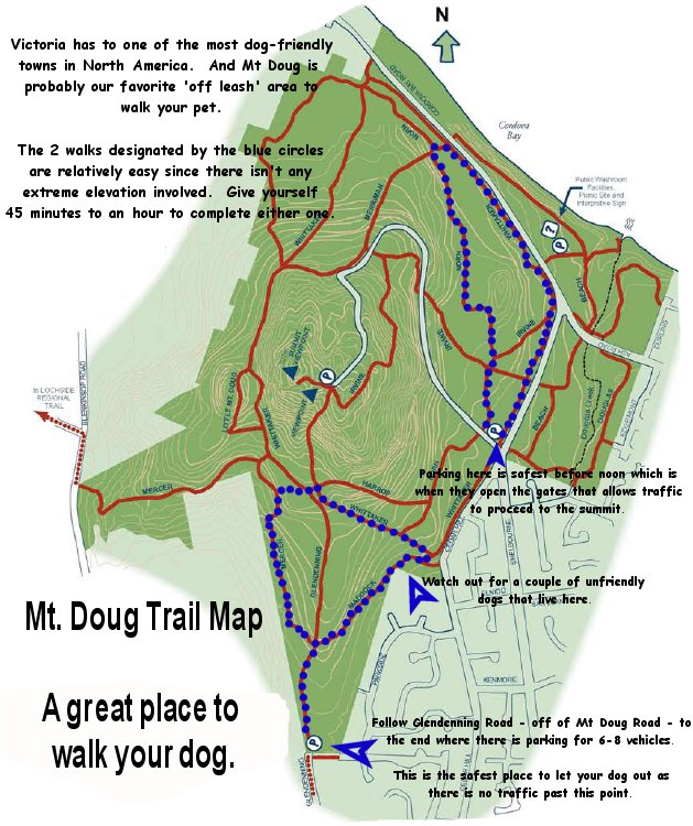 Peace of Mind Petcare Sunday at Mt Doug