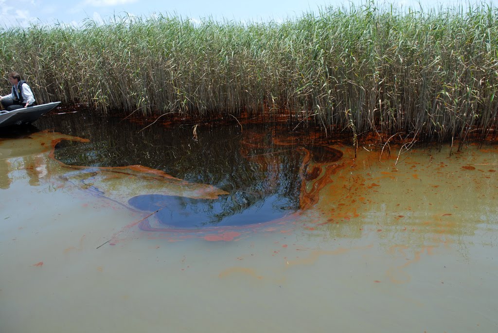 Загрязнение керосином. Мексиканский залив эвтрофикация. Загрязнение водоемов нефтепродуктами. Загрязненные водоемы. Загрязненные водоемы нефтью.