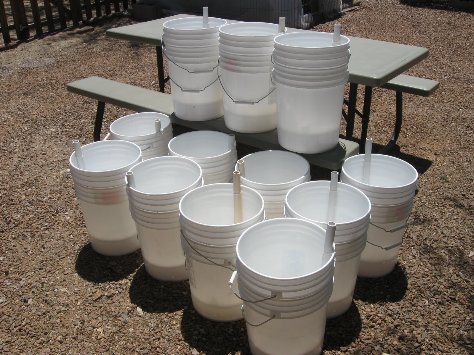 Hotspot: Gardening in the Desert: SIP-Sub Irrigated Planter Buckets