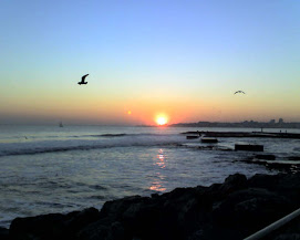 Uma gaivota voava...