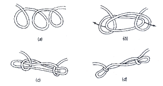 LOSONG SCOUT: Ikatan dan Simpulan Pengakap