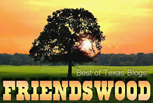 Best Of Texas Blogs:Friendswood, Texas