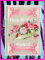 Nice Matters Award