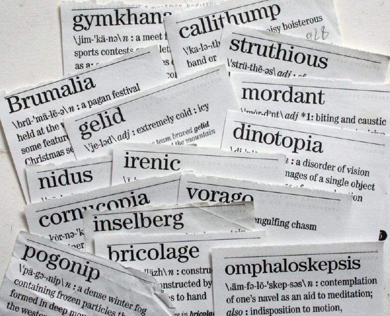 BOOKTRYST Twelve Weird Words Every Bibliophile Should Know