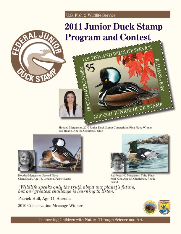WildBird on the Fly Junior Duck Stamp entries due in early 2011