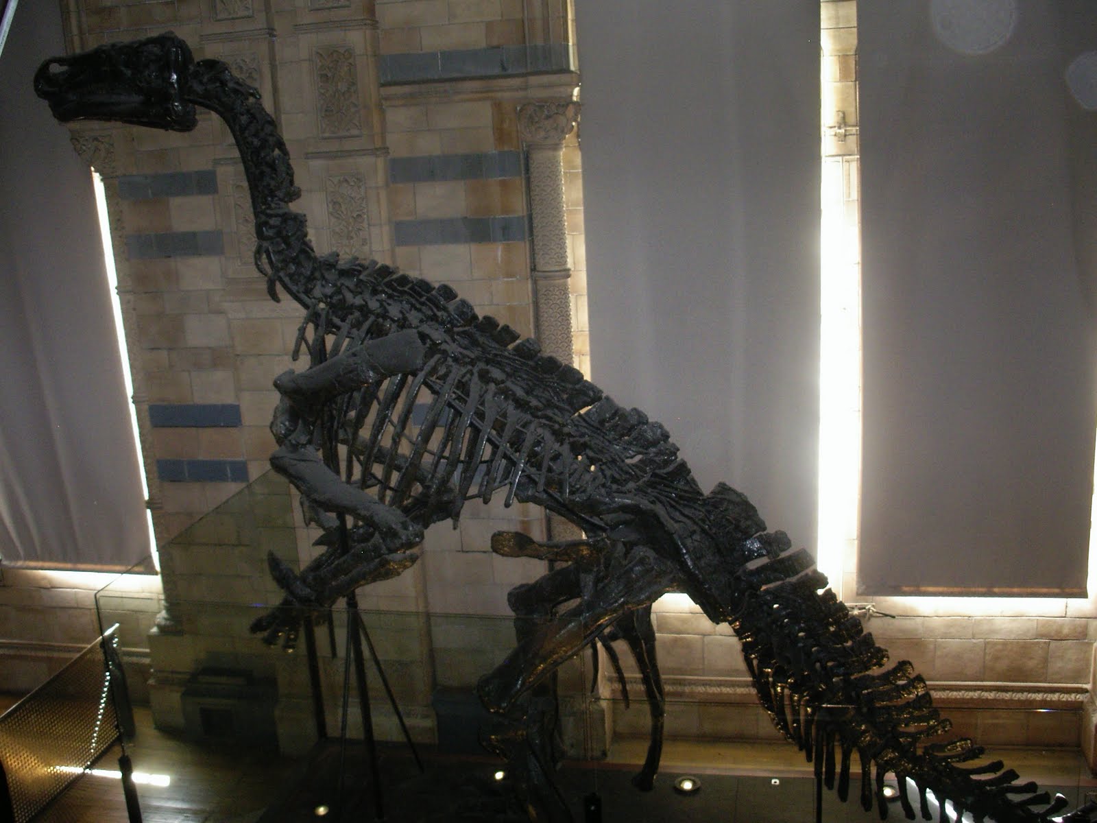 Lorraine Marwood Words Into Writing Science Museum London