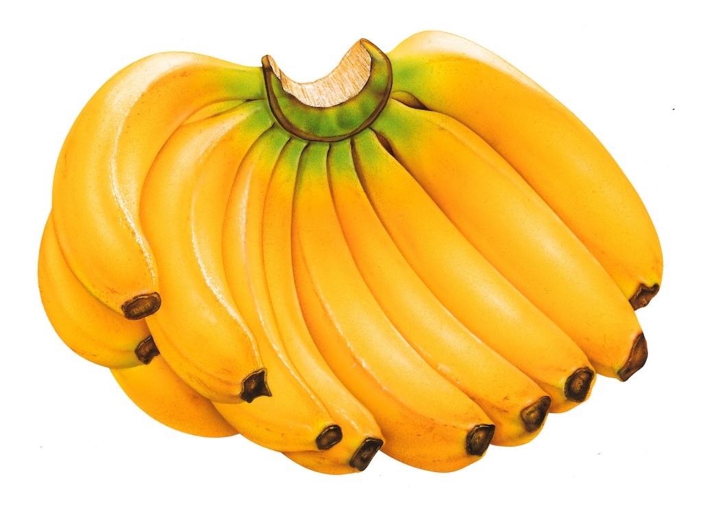 Dieta da banana japao