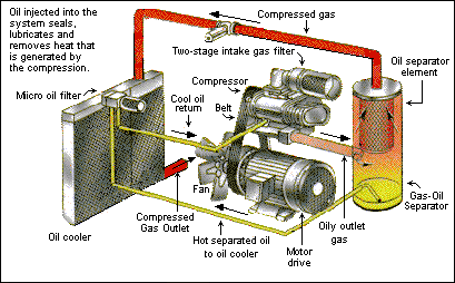 Hidup Sehat: Diagram Rotary Screw Compressor