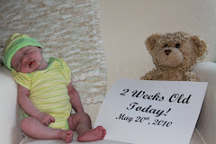 2 weeks old!