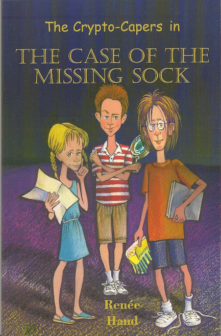 The Case of the Missing Sock