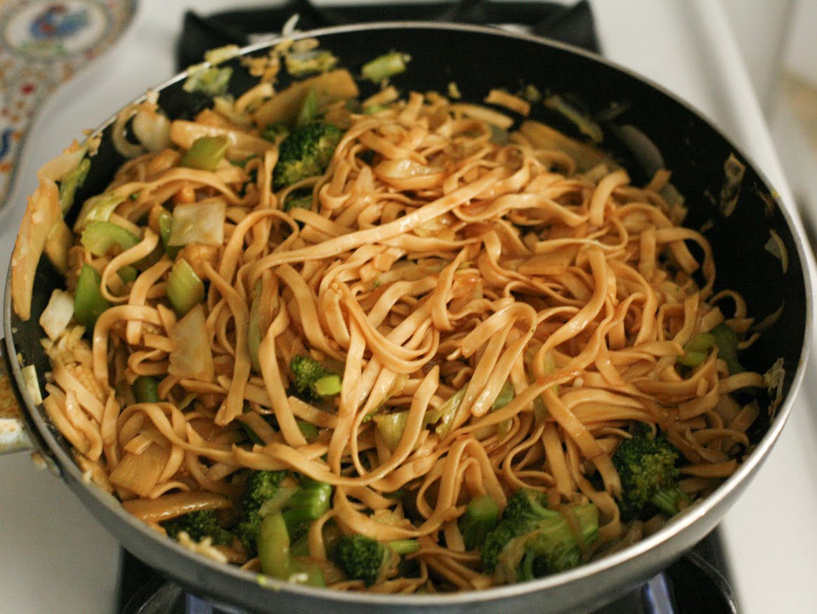 go vegan meow! Chow Mein and Fried Rice