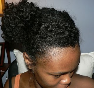 2010 Winter Hair Regimen 2010 Winter Hair Regimen