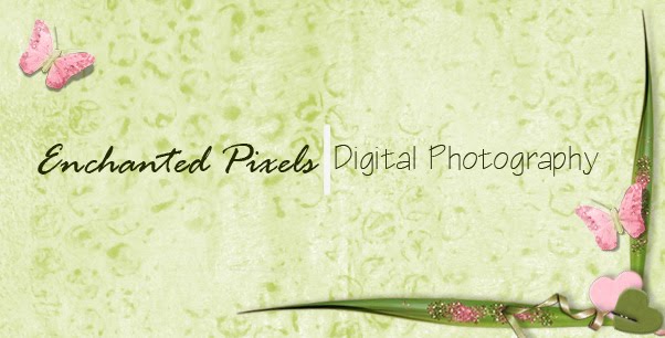 Enchanted Pixels Digital Photography