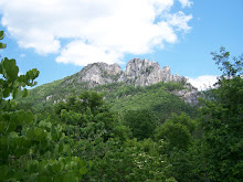 West Virginia View