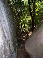 FLORESTA NACIONAL DE IPANEMA