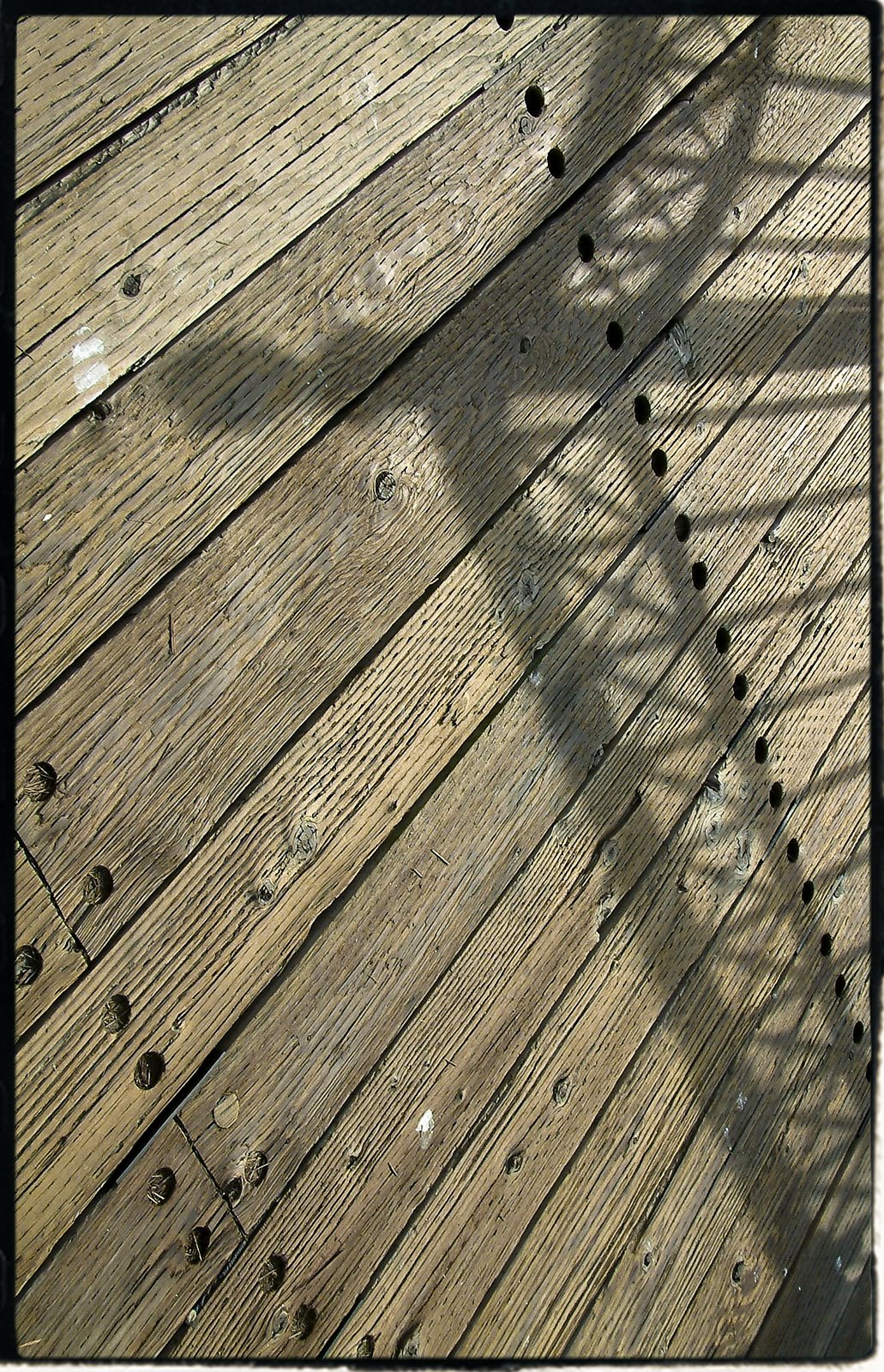 [SFO+shadow-014+copy.jpg]