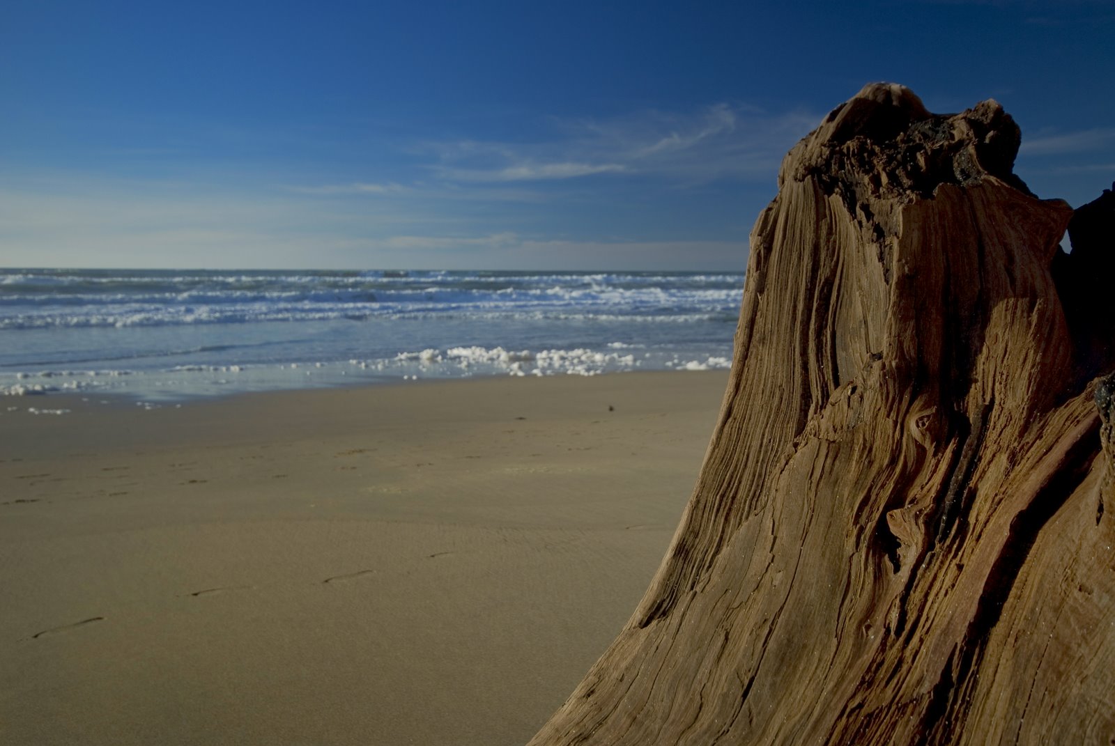 [cali+coast-0143+copy.jpg]