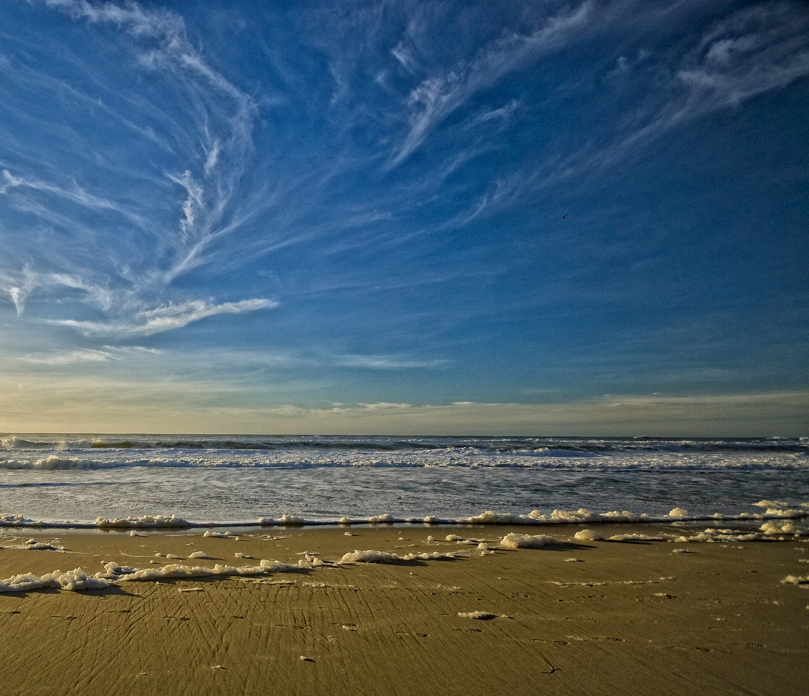 [cali+coast+5-0167+copy.jpg]