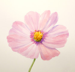 watercolor flower cosmos flowers painting water drawing paint watercolour draw drawings wet basics watercolors tutorial beginners dry paintings techniques simple