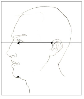 Positioning the height of the ear as it relates to the eye.