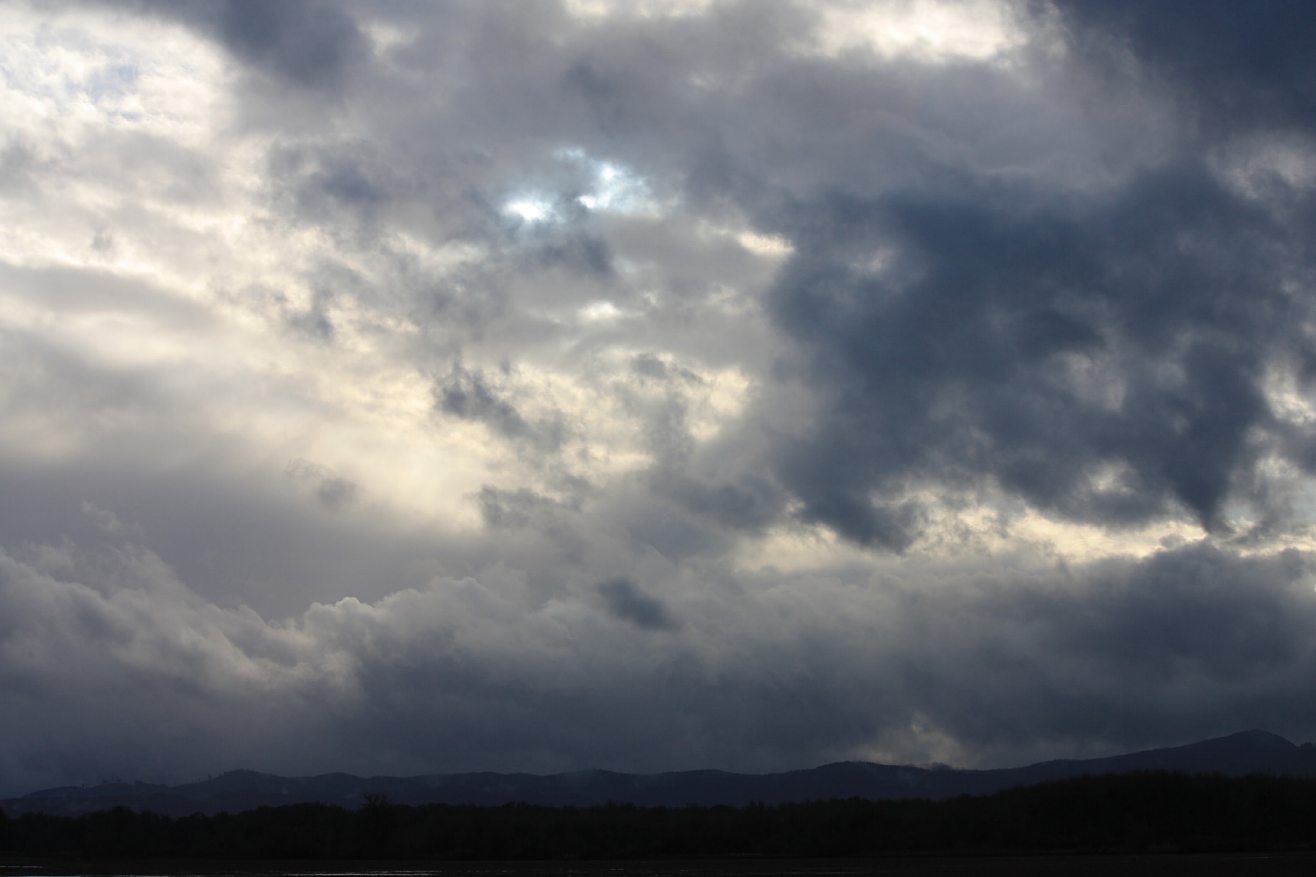 Rainy Day Thoughts Northwest winter scenes