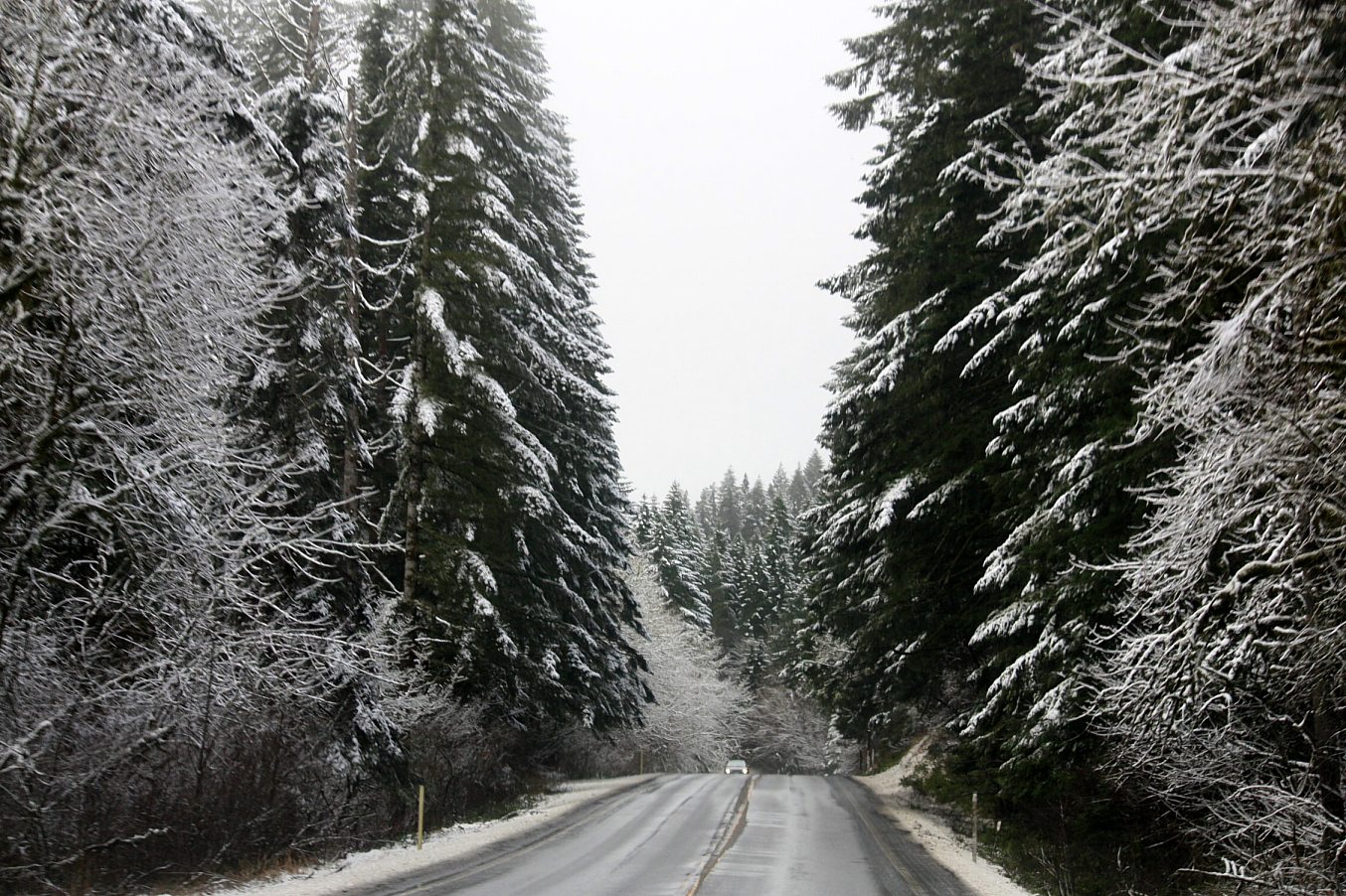 H. B. Van Duzer Forest State Scenic Corridor Alchetron, the free