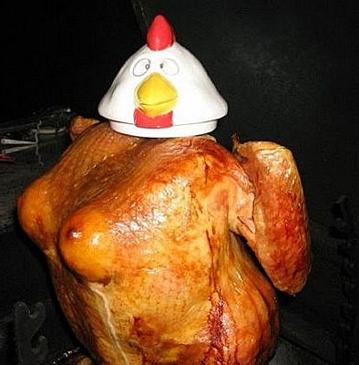 Funny Email Photos on Funny Chicken
