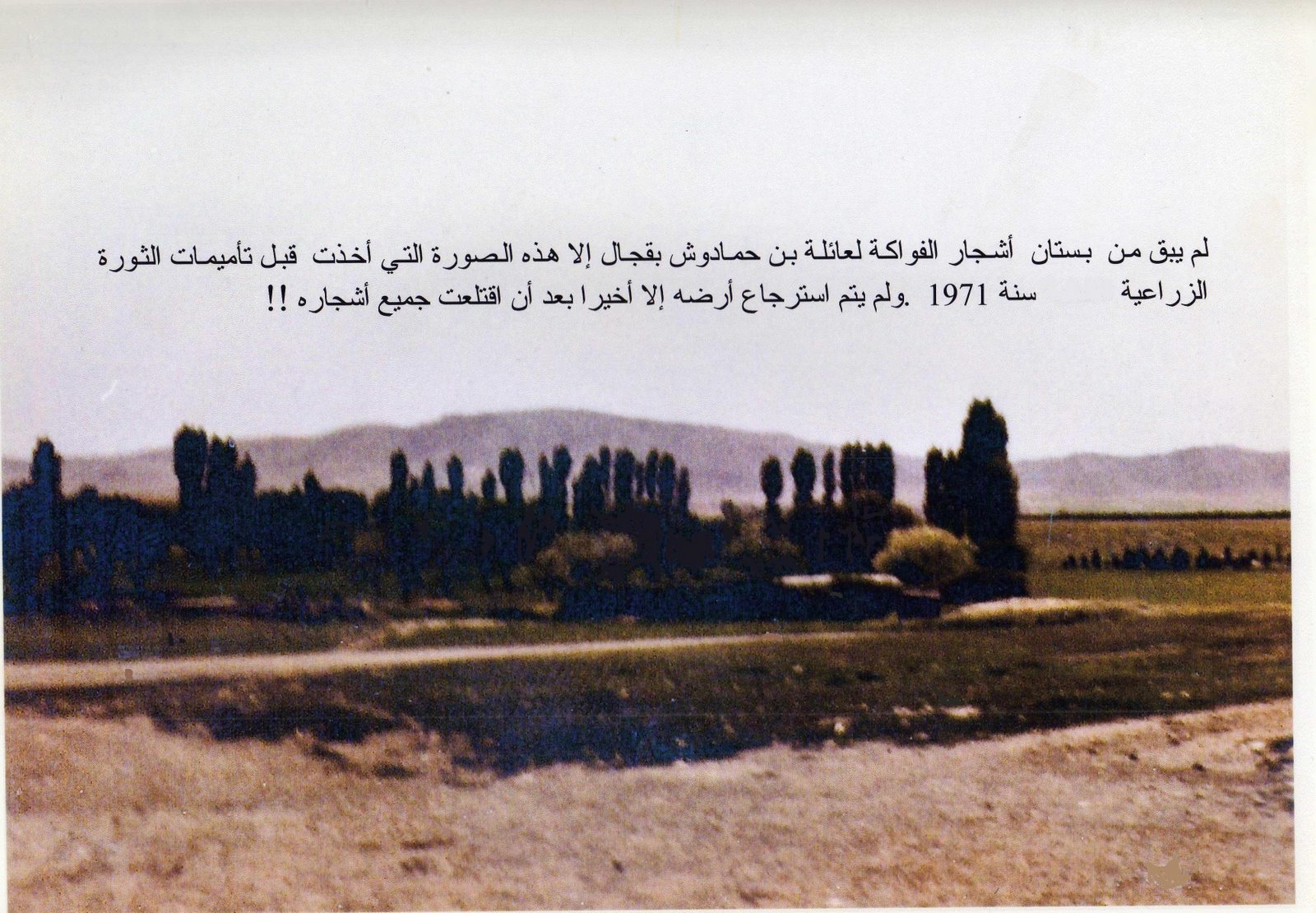 [img055.jpg]