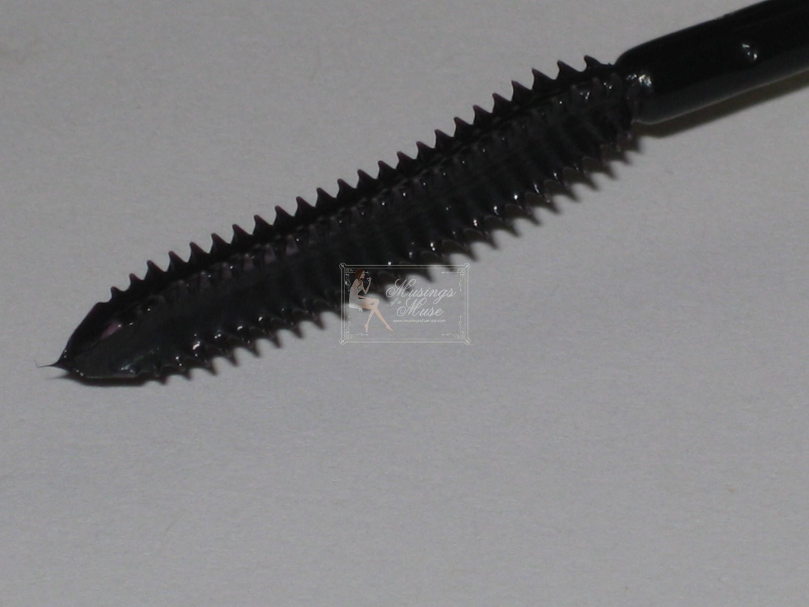 [Picture+112269.jpg]