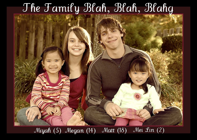 The Family Blah, Blah, Blahg