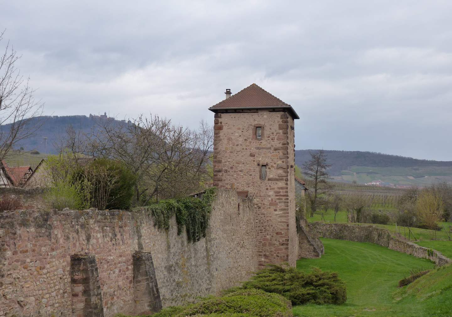 Single bergheim