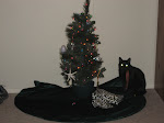 My Charlie Brown Christmas tree and Tesia