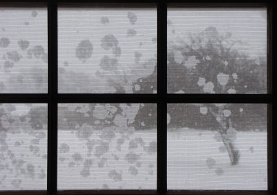 snow through window